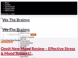Wethebrainys