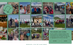 Wellnessandwalking