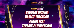 Rtpceria123