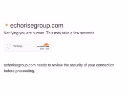 Echorisegroup