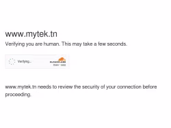 Mytek