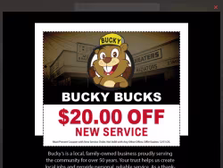 Buckys
