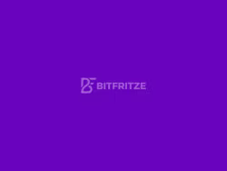 Bitfritze