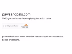 Pawsandpals