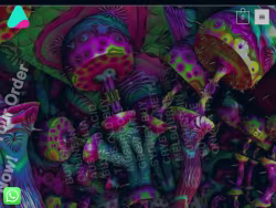 Buyshroomsaustralia