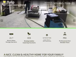 Potomaccarpetcleaning