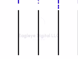 Eagleye
