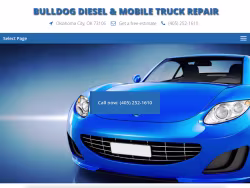 Bulldogdieselgasrepair
