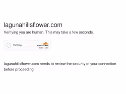 Lagunahillsflower
