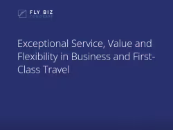 Flybizforless