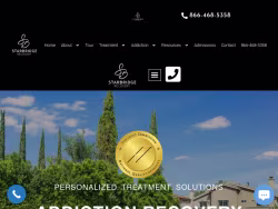 Starbridgerecovery