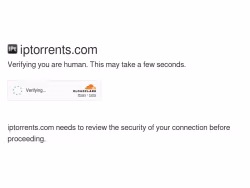 Iptorrents