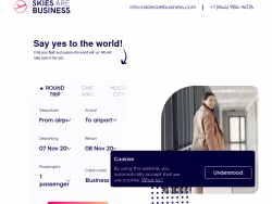 Skiesarebusiness