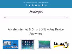 Acevpn