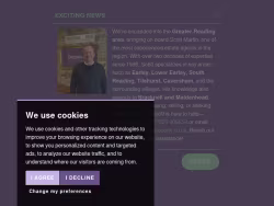 Grapevineproperty