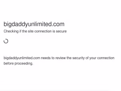 Bigdaddyunlimited