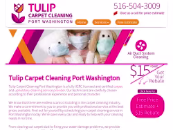 Carpetcleaningportwashingtonny