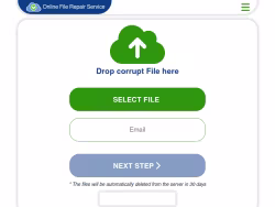 Onlinefilerepair