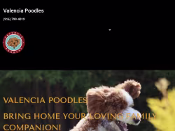 Valenciapoodles