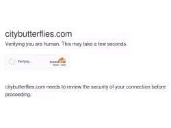 Citybutterflies