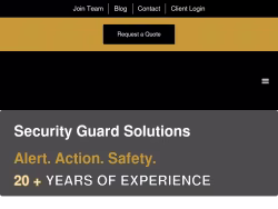 Securitysolutionsnow