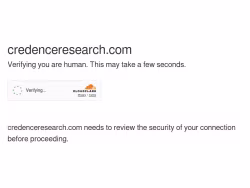 Credenceresearch