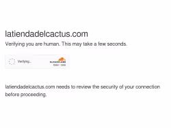 Latiendadelcactus