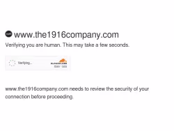 The1916company