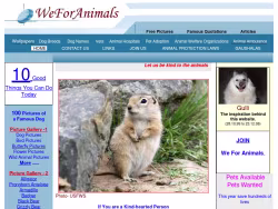 Weforanimals