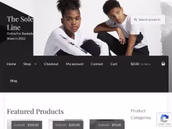 Thesoleline