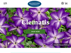 Bluestoneperennials