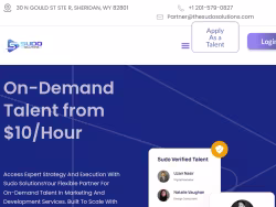 Thesudosolutions
