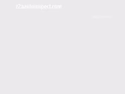 Z2aautoinspect