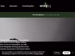 Antshq