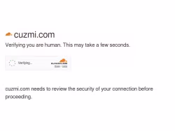 Cuzmi