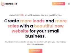 Bandicootmarketing