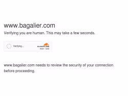 Bagalier