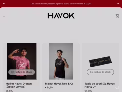 Teamhavok