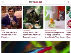 Myanimals