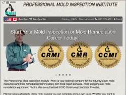 Moldinspectioninstitute