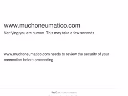 Muchoneumatico