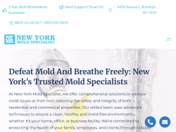 Newyorkmoldspecialist