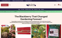Fruits and Berries