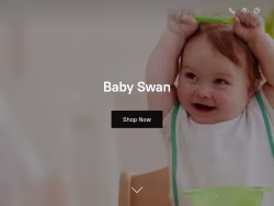 Babyswan