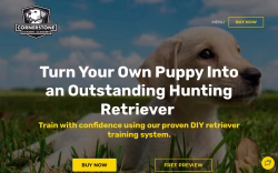 Cornerstonegundogacademy
