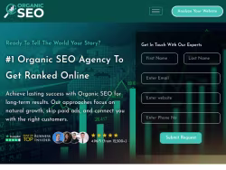 Organicseo logo