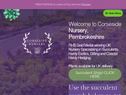 Corsesidenursery