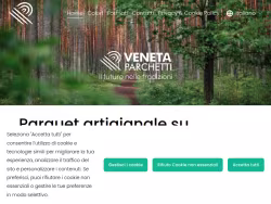 Venetaparchetti