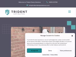 Tridentdampsolutions