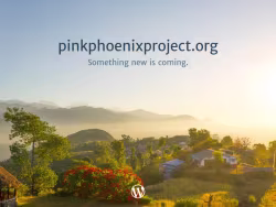 Pinkphoenixproject